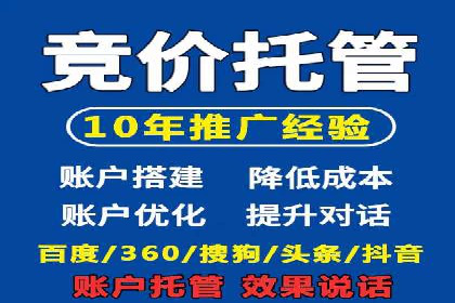 竞价代运营成功案例解析